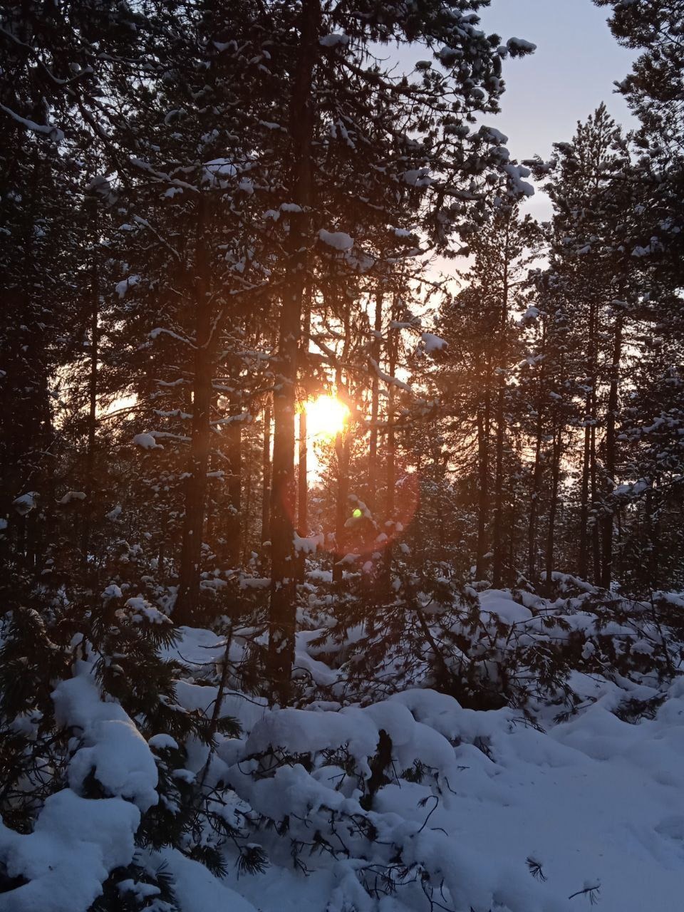 winter sunset